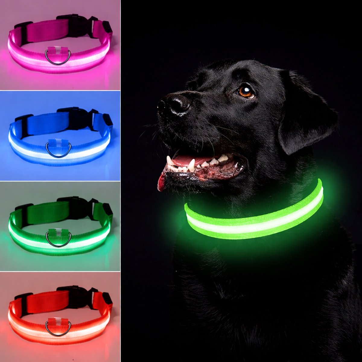 Honden halsband LED - Maat M - USB-oplaadbaar - 100% waterdicht - Groen - Halsband met verlichting - 3 verschillende standen - Lichtgevende hondenhalsband - Super helder licht - Voor huisdieren
