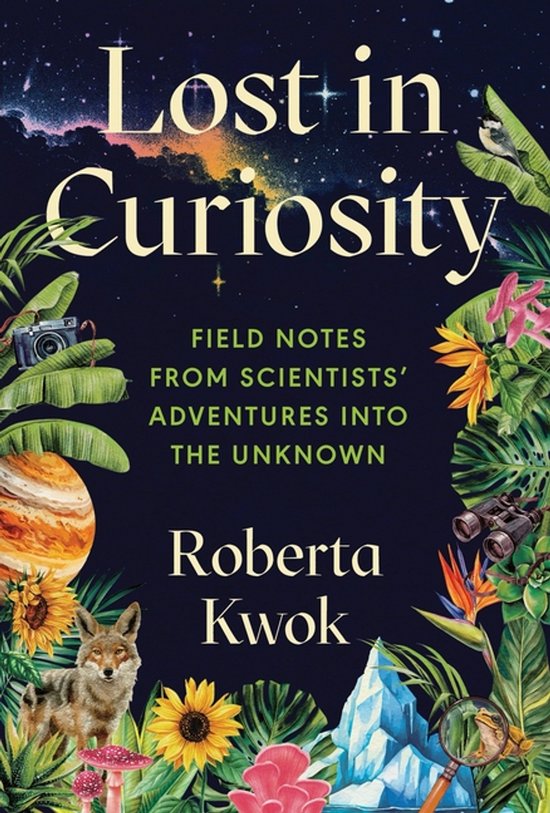 Lost in Curiosity - cover
