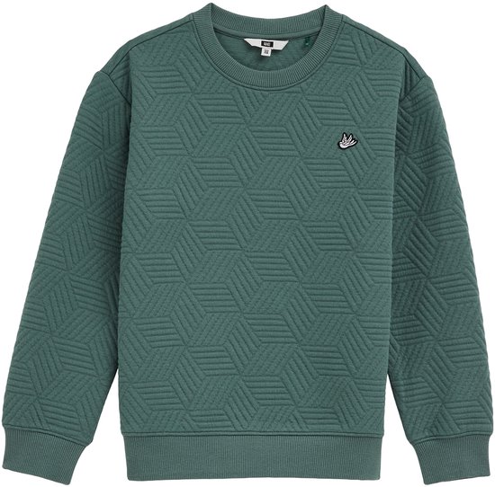 WE Fashion Jongens trui met structuur