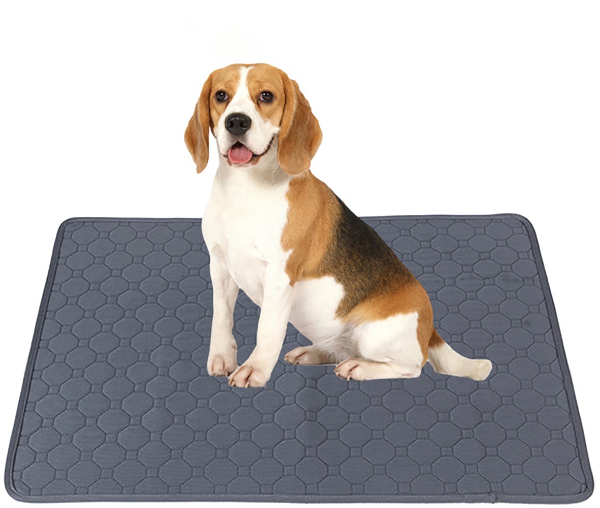 Puppy Trainingsmat - Puppy Training Pads - Honden Toilet - Waterdicht Wasbaar en herbruikbaar - 70 x 50 cm - Grijs