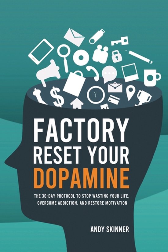 Factory Reset Your Dopamine - cover