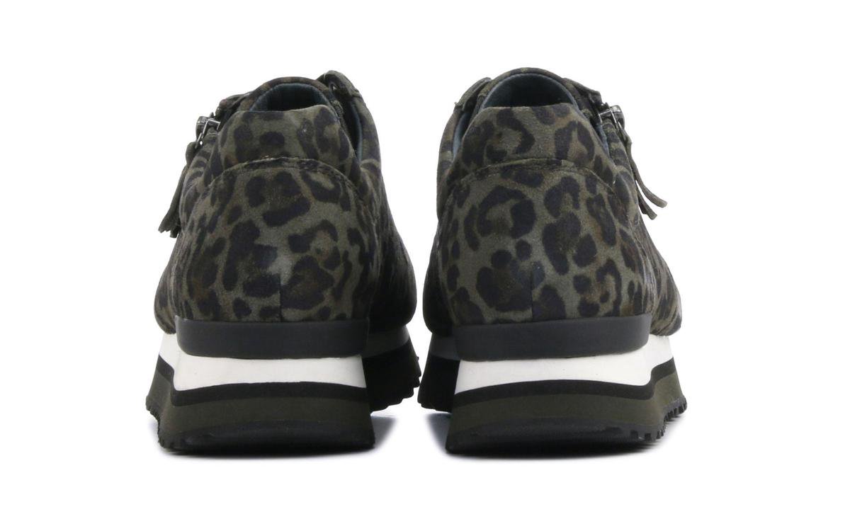 Gabor Vrouwen Suède Panterprint Lage sneakers / Damesschoenen 36.448  leopard - Groen... | bol.com