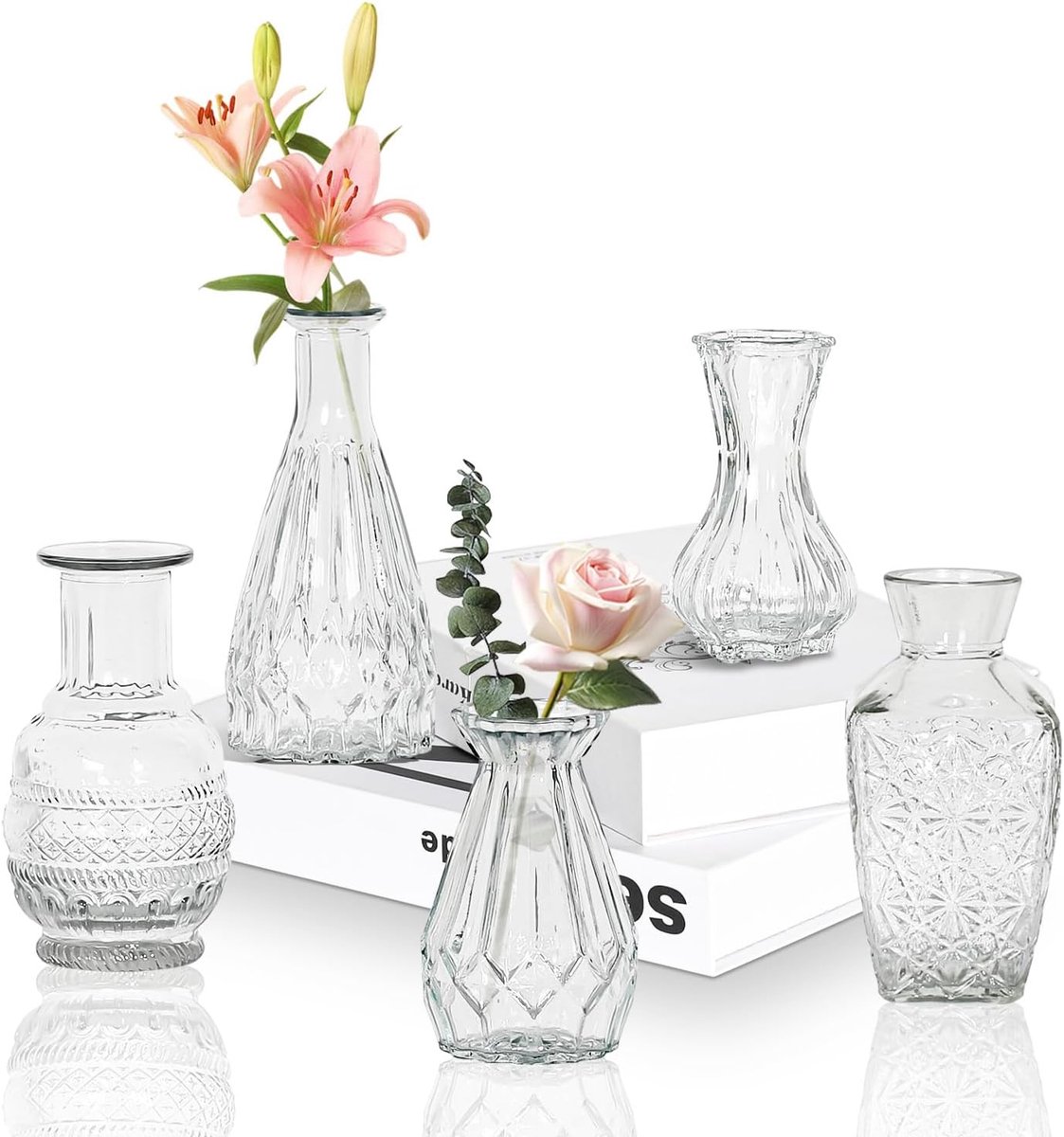 Famanu – 5-delige set kleine glazen vazen, voor tafeldecoratie, bruiloft, receptie, thuis, vintage flessen, transparant, decoratieve glazen vazen met deksels (5, transparant)