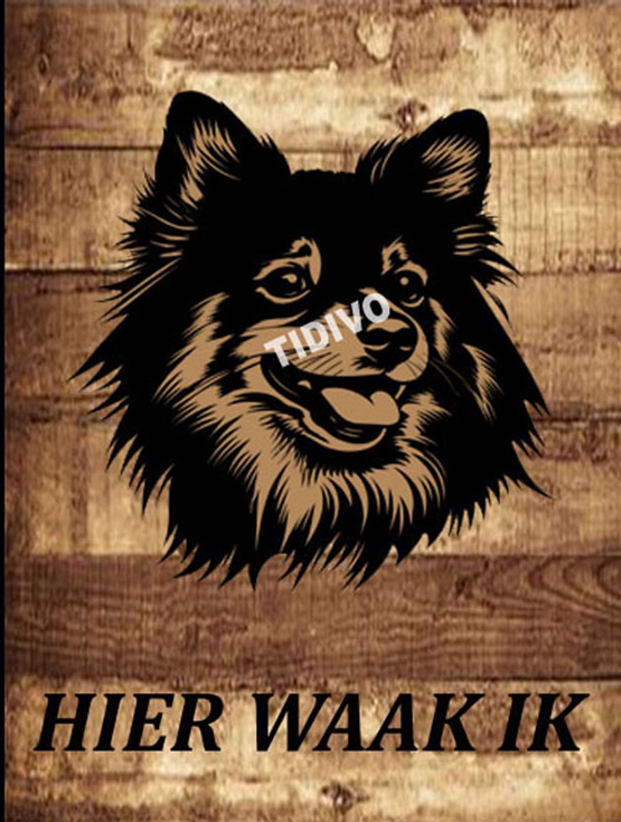 Dwergkeeshond 20