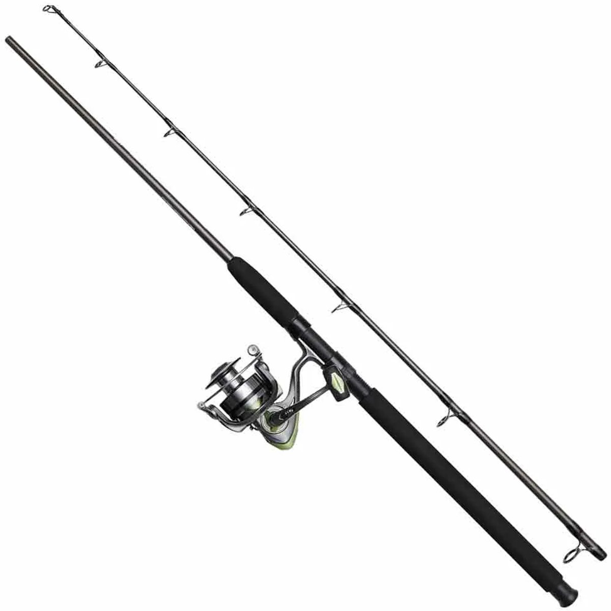 Dam Full Cat Draaiende Combo Zilver 2.40 m / 40-150 g