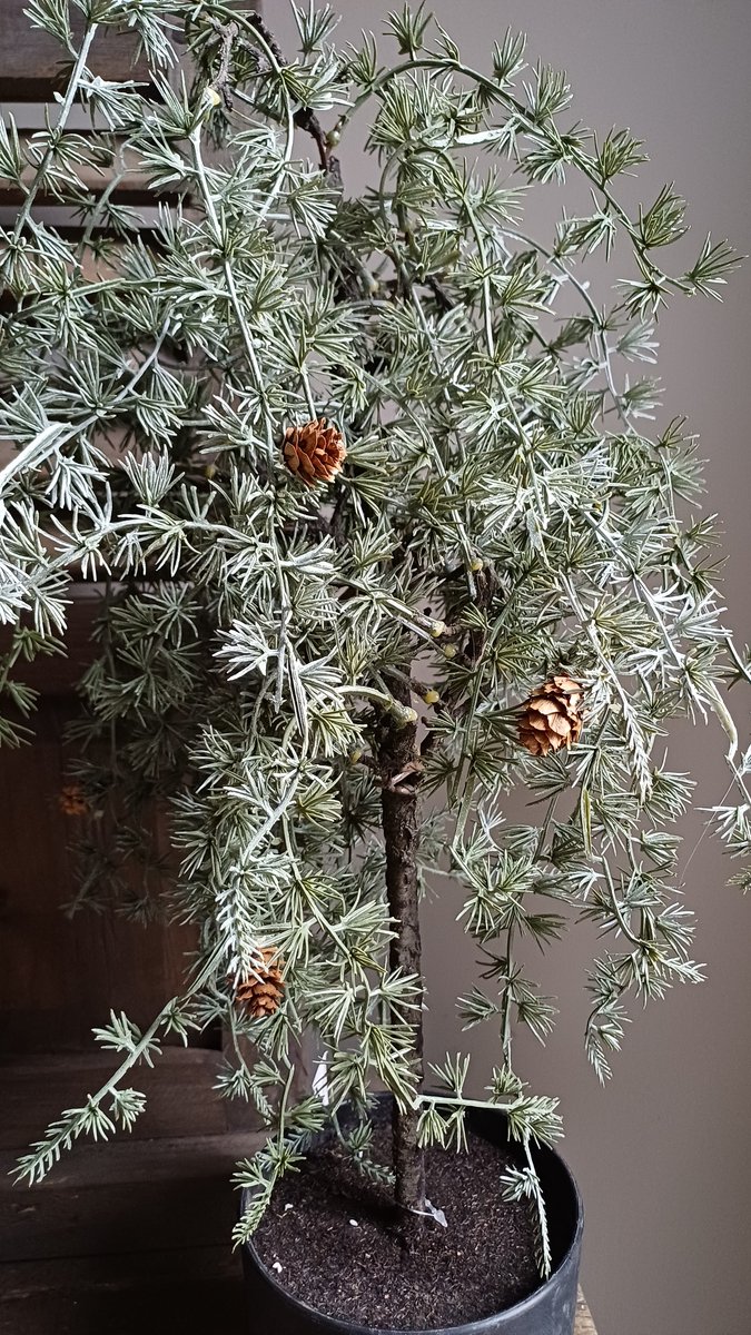Ceder kunstboompje in pot