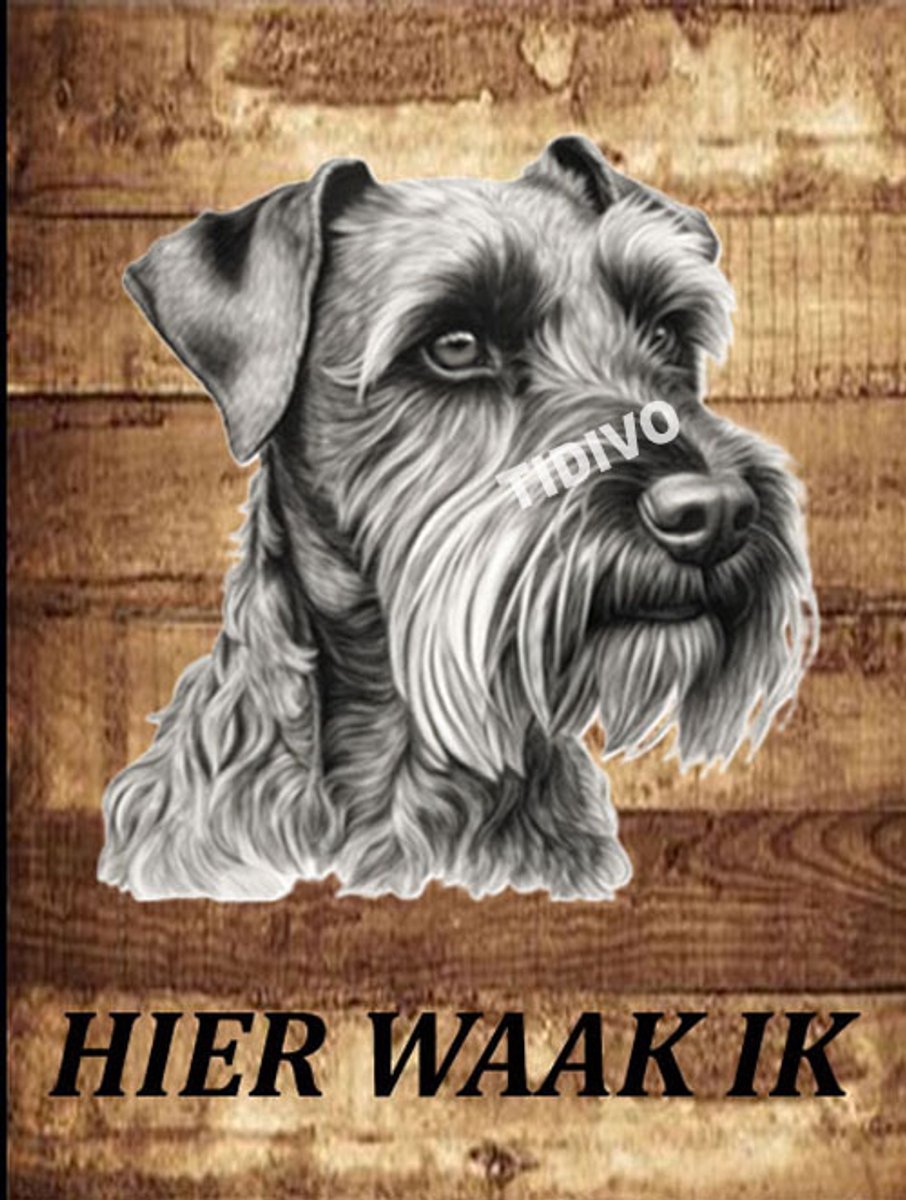 Cesky Terrier 20