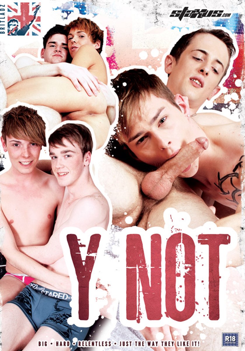 Y Not DVD (Staxus)