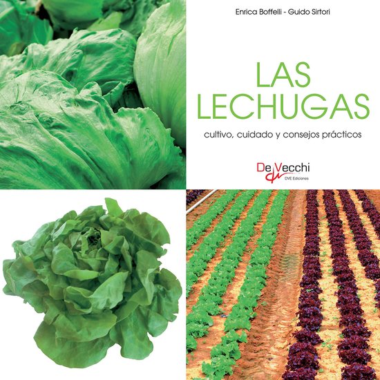 Las lechugas - cultivo, cuidado y condejos prácticos - cover
