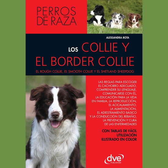 Los collie y el border collie - cover