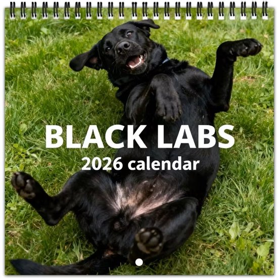 Labrador Retriever Zwart Kalender 2026 met Prachtige Foto's Labrador Retriever Zwart Kalender 2026 met Prachtige Foto's