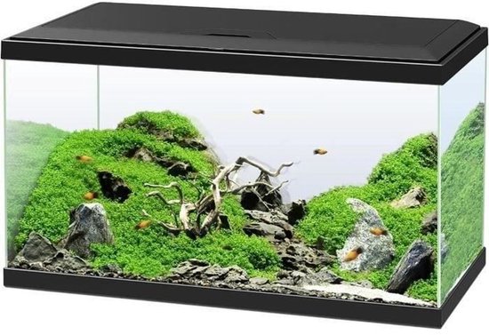 Aquarium - 60 L - Filter - LED - Verwarming - 30PPI Schuim - CF80 - Zwart