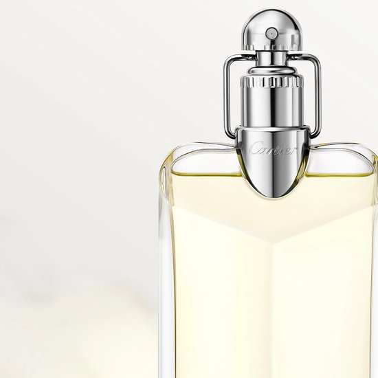 Cartier Déclaration 100 ml - Eau de Toilette - Herenparfum | bol