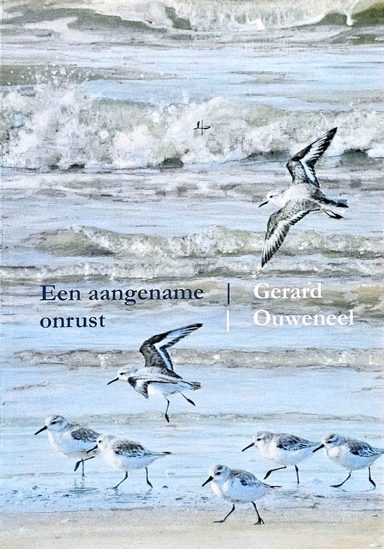 Een aangename onrust