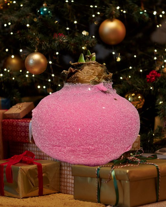Elegante Wax Amaryllisbol - Roze Glitter