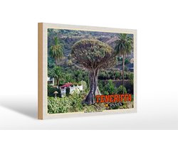 Holzschild Reise 30x20cm Teneriffa Drago Milenario-Tausendjährige
