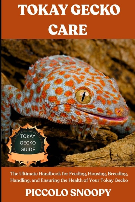 Tokay Gecko Care Guide