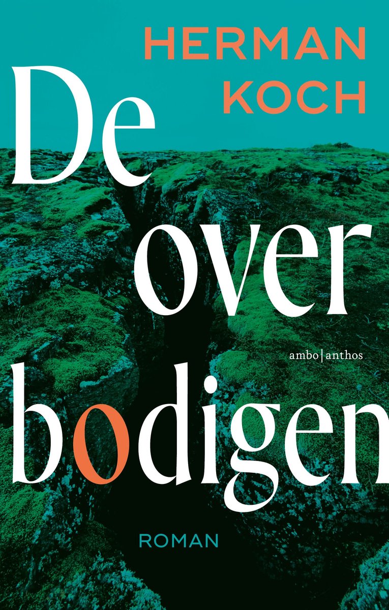 Omslag van De overbodigen