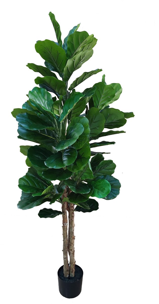 NeverLeafs Vioolbladplant kunstplant 160 cm - Stijlvolle vioolbladplant