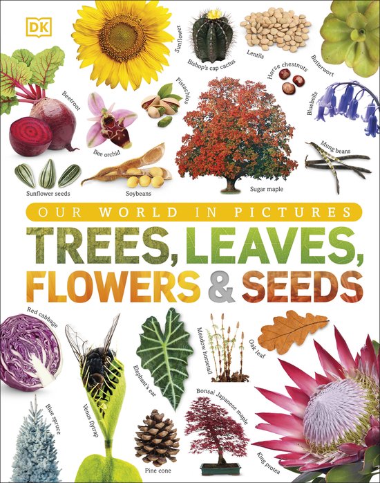 Trees, Leaves, Flowers & Seeds - cover