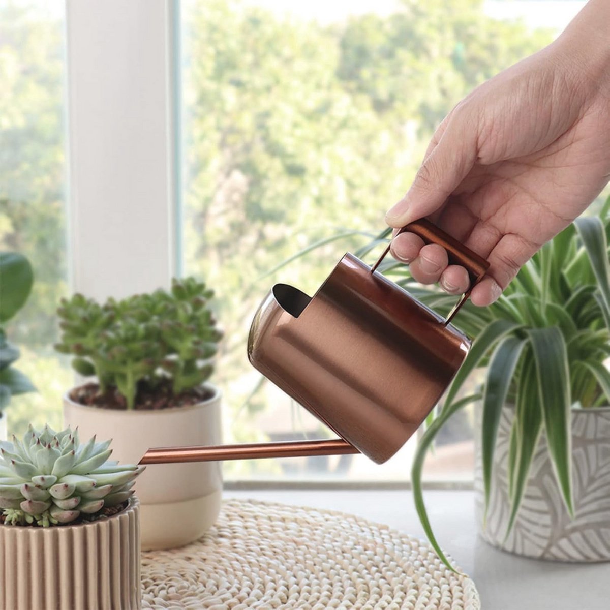Mini Gieter met Lange Tuit voor Planten - 300 ml Roestvrij Staal Tuingieter