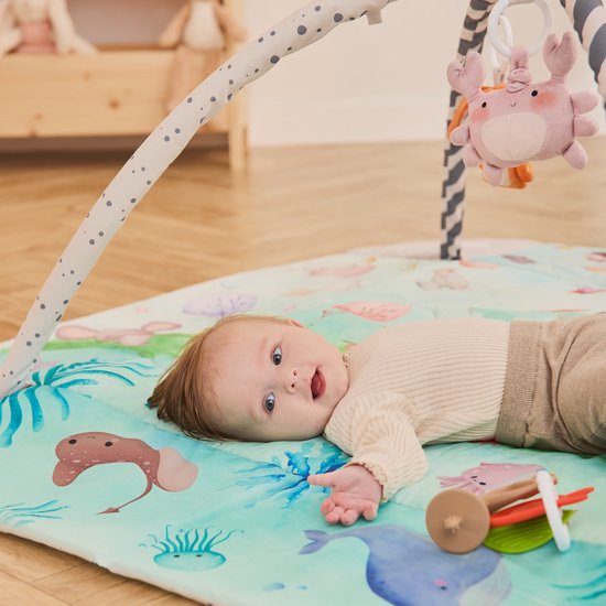 Lionelo Anika Plus 2-in-1 Babygym & Speelkleed – Met Verhoogde Randen (Boxfunctie) – Inclusief Tummy Time Kussen, Interactief Boekje & 5 Speeltjes – 115x110 cm