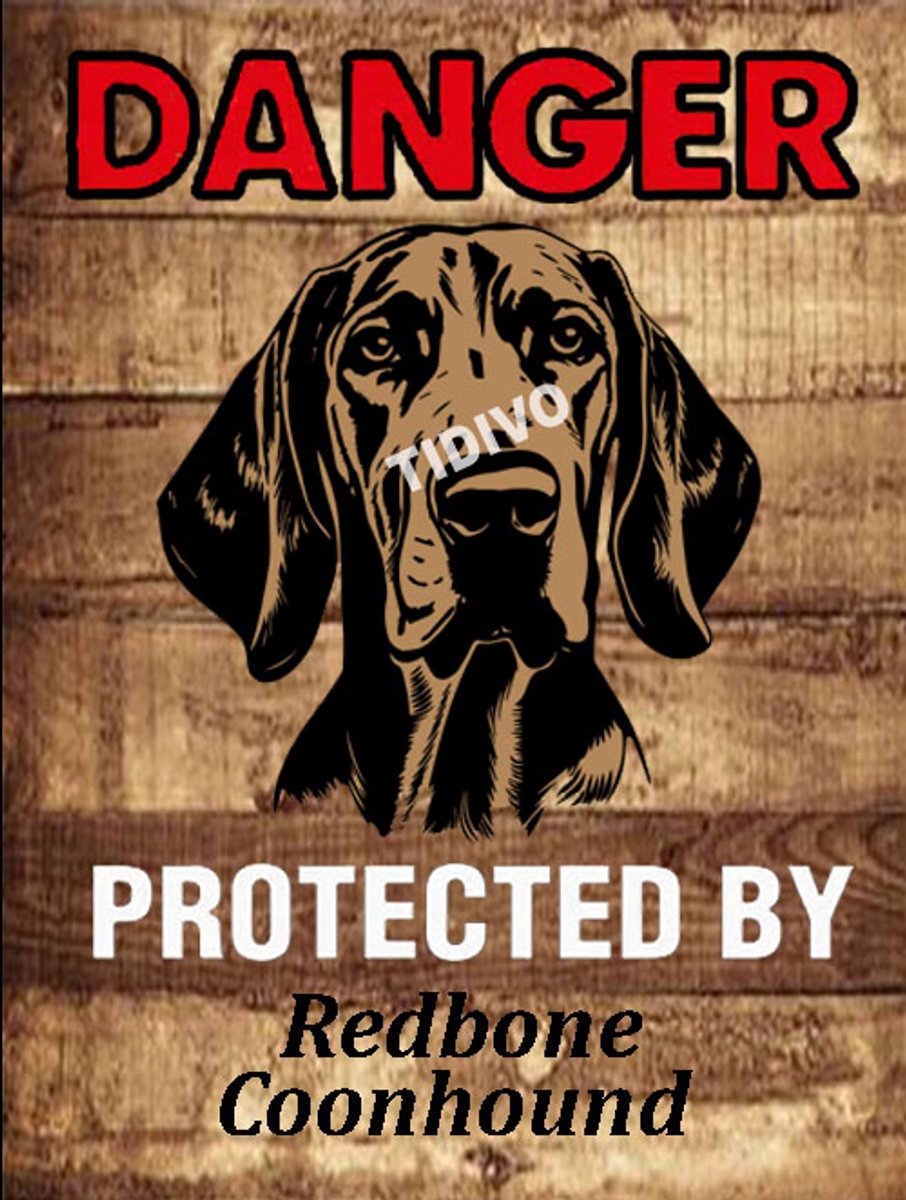 Redbone Coonhound 19