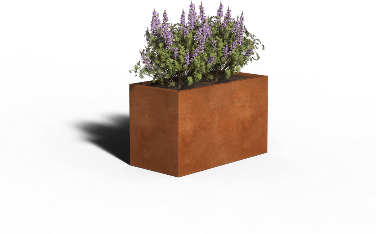 Cortenstaal Plantenbak Rechthoek | 100 x 50 x 50 | Zonder bodem