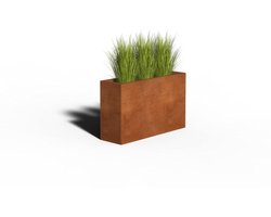 Cortenstaal Plantenbak Rechthoek | 100 x 30 x 60 | Met bodem