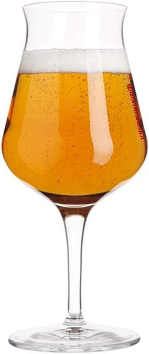 Beer Tasting Set - 6 Stuks 42 cl Proefglazen voor Bier