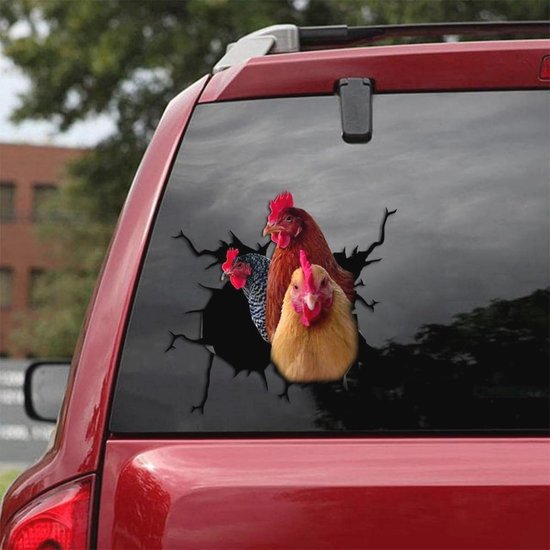 Trois poules - brune, noir et blanc, et blondes - regardent à travers un trou noir sur la lunette arrière d'une voiture.