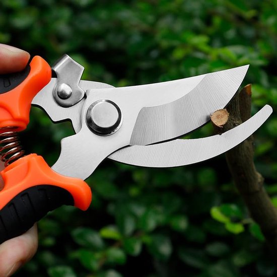 Tuinschaar - Snoeischaar - Bloemenschaar - Scherp en duurzaam - Geschikt voor het snoeien van planten, takken en bloemen; eenvoudig te gebruiken. van Merkloos	 — afbeelding 3