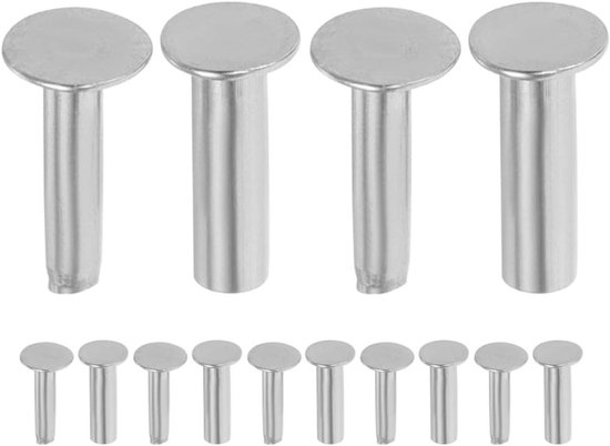 Runxingfu Bevestigingen Deuvels - 8mm 10mm 12mm Paspennen 304 Roestvrij