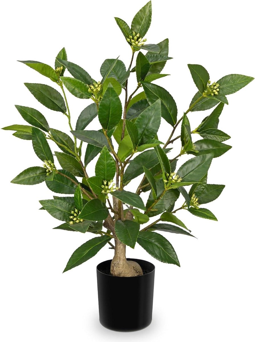 Cosensi Kunstplanten Laurier Bomen in Zwarte Potten voor Thuisdecoratie - Hoge Nepplant - Indoor Faux Plant - Decoratieve Kunstplanten - 48 CM - Keuken Badkamer Plank Decor Groen