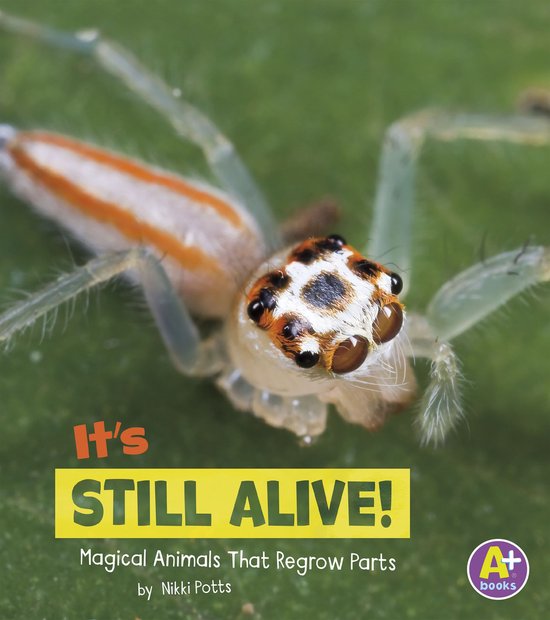 Magical Animals - It's Still Alive! - cover