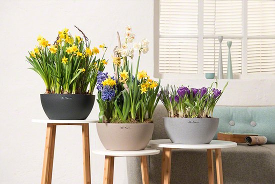 LECHUZA CUBETO Stone 40 - Plantenbak - met uitneembare binnenbak - met bewateringssysteem - ALL-IN-ONE set met LECHUZA-PON - steengrijs