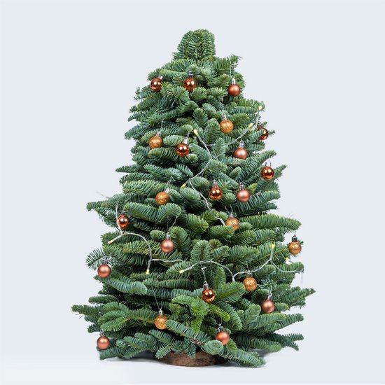 Bloomgift | Kerstbomen | DIY kerstoompje incl. LED + Kerstballen | Zonder Batterijen |  50cm