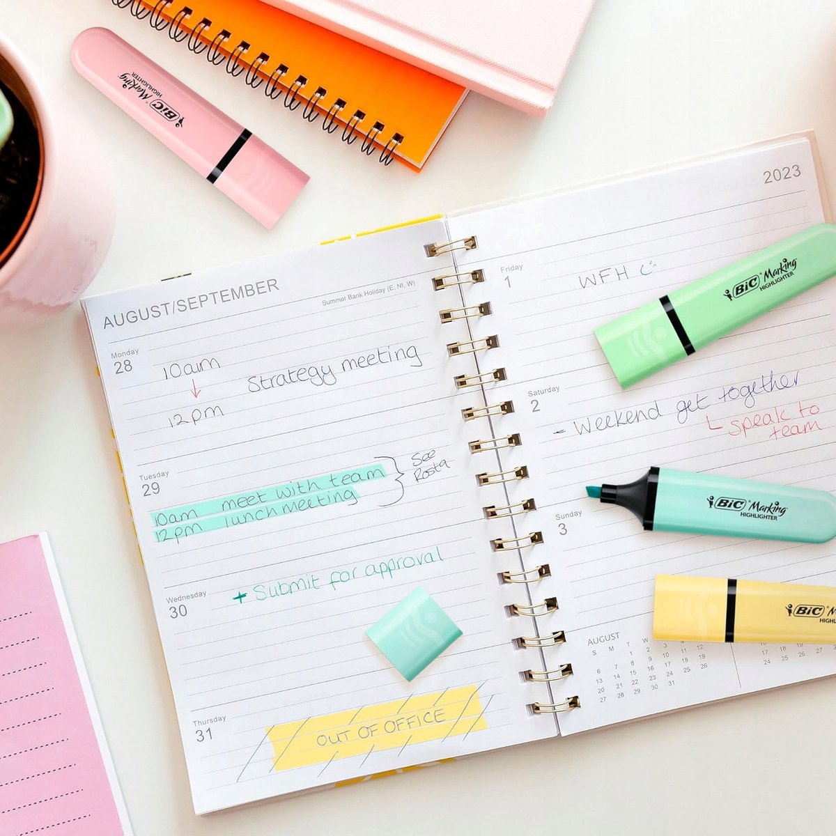 BIC Pastel Roze Markeerstift met Schuine Punt - School & Kantoor