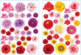 Bloemen Decoratie Stickers voor agenda of Laptop, Kliko | 67-delige Set | Waterbestendig Vinyl