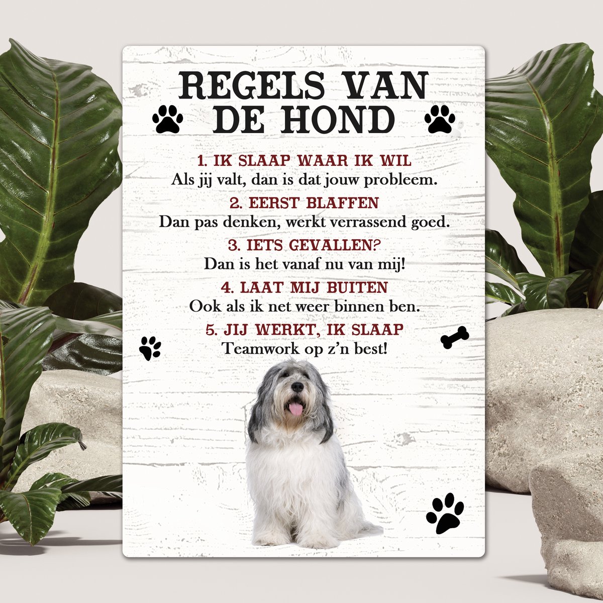 Spreuken - Bobtail Terrier - Regels Van De Hond - Spreuken Bordjes - Spreukenbord - Tekstborden - Cadeau - Hondenras