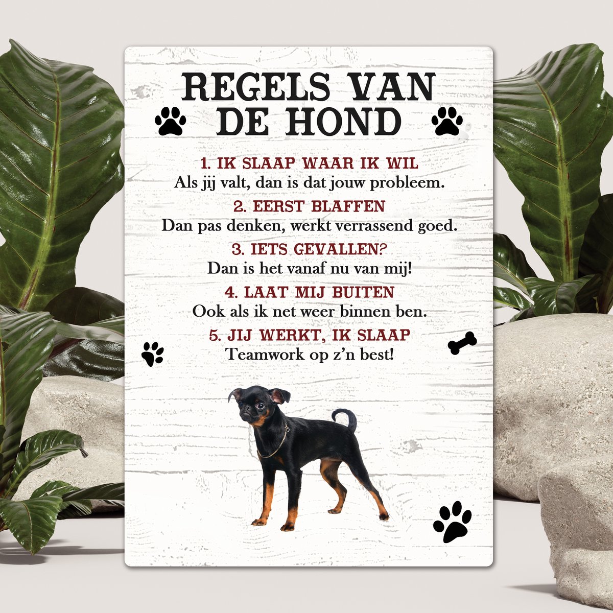 Spreuken - Petit Brabancon - Regels Van De Hond - Spreuken Bordjes - Spreukenbord - Tekstborden - Cadeau - Hondenras