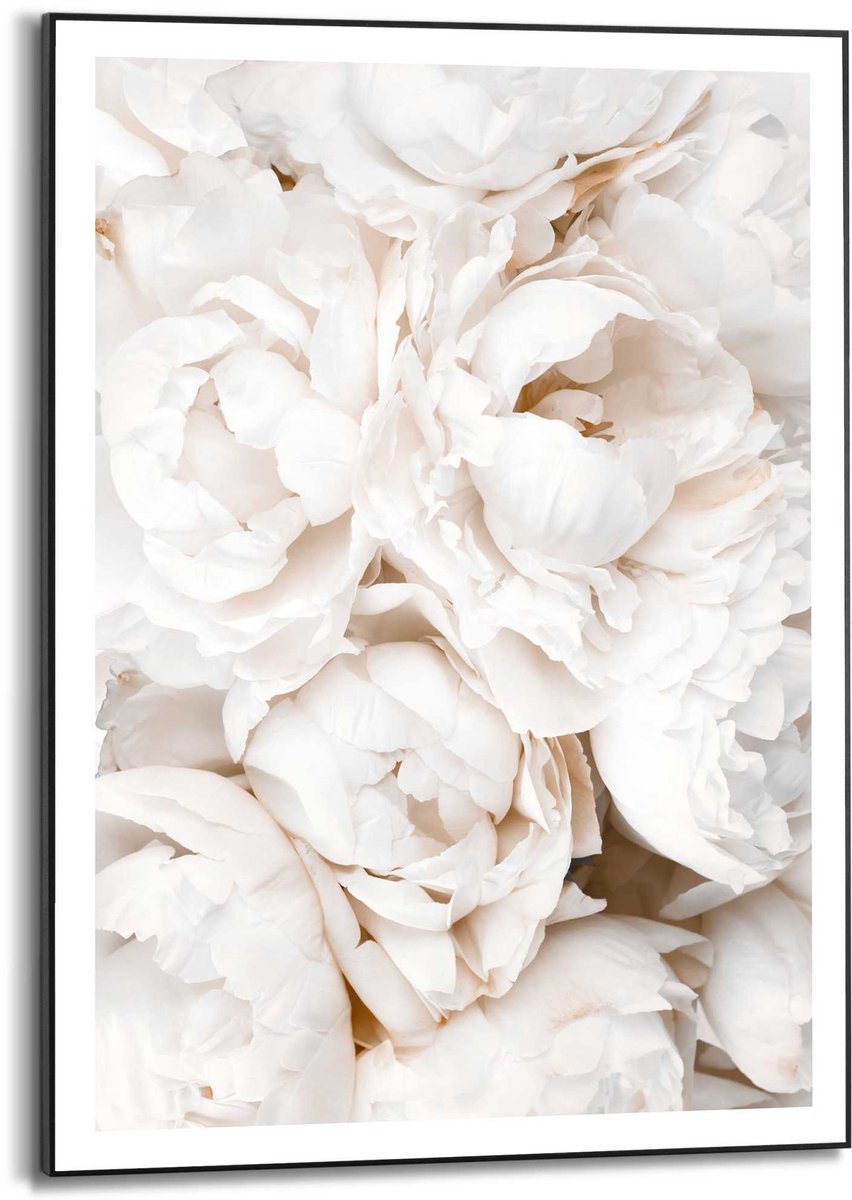 Schilderij Witte rozen - 70 x 50 - Hout - REINDERS