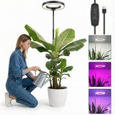 40 Pièces Bâtons d Humidificateur Bâtons de Recharge de Filtre en Coton Remplacement de Mèches pour Humidificateurs Portables Personnels Alimentés par USB dans Bureau Maison Chambre, 5,3 Pouces