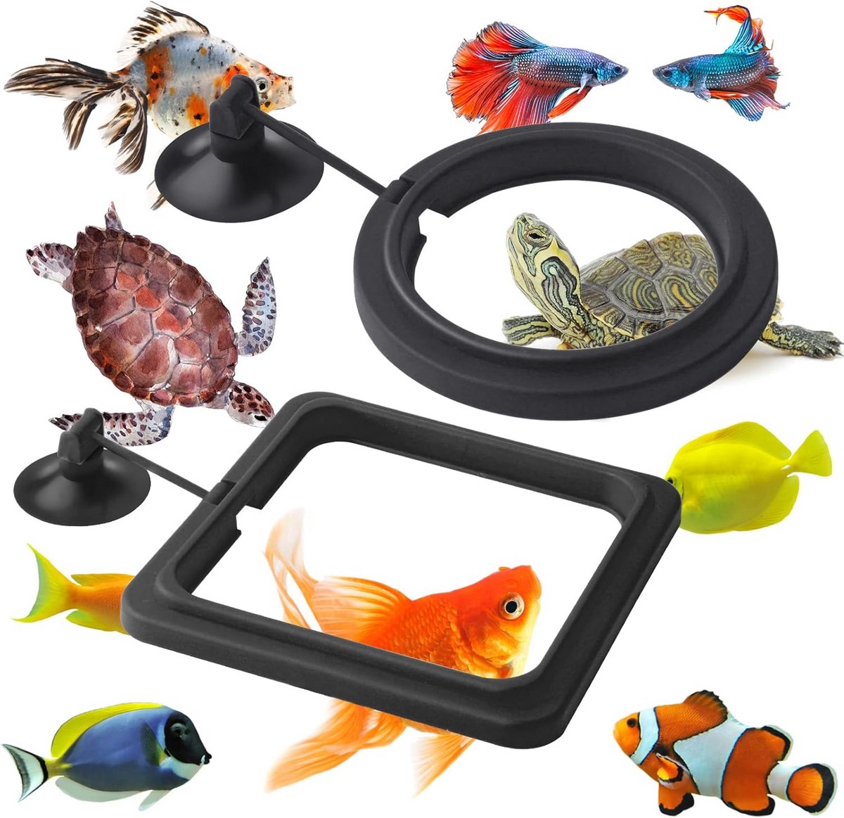 2-Delige Voederring Set voor Aquarium en Vissenkom - Voerdispenser voor Guppy, Betta en Goudvis