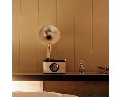 SANGEAN HIFI CP100DBG