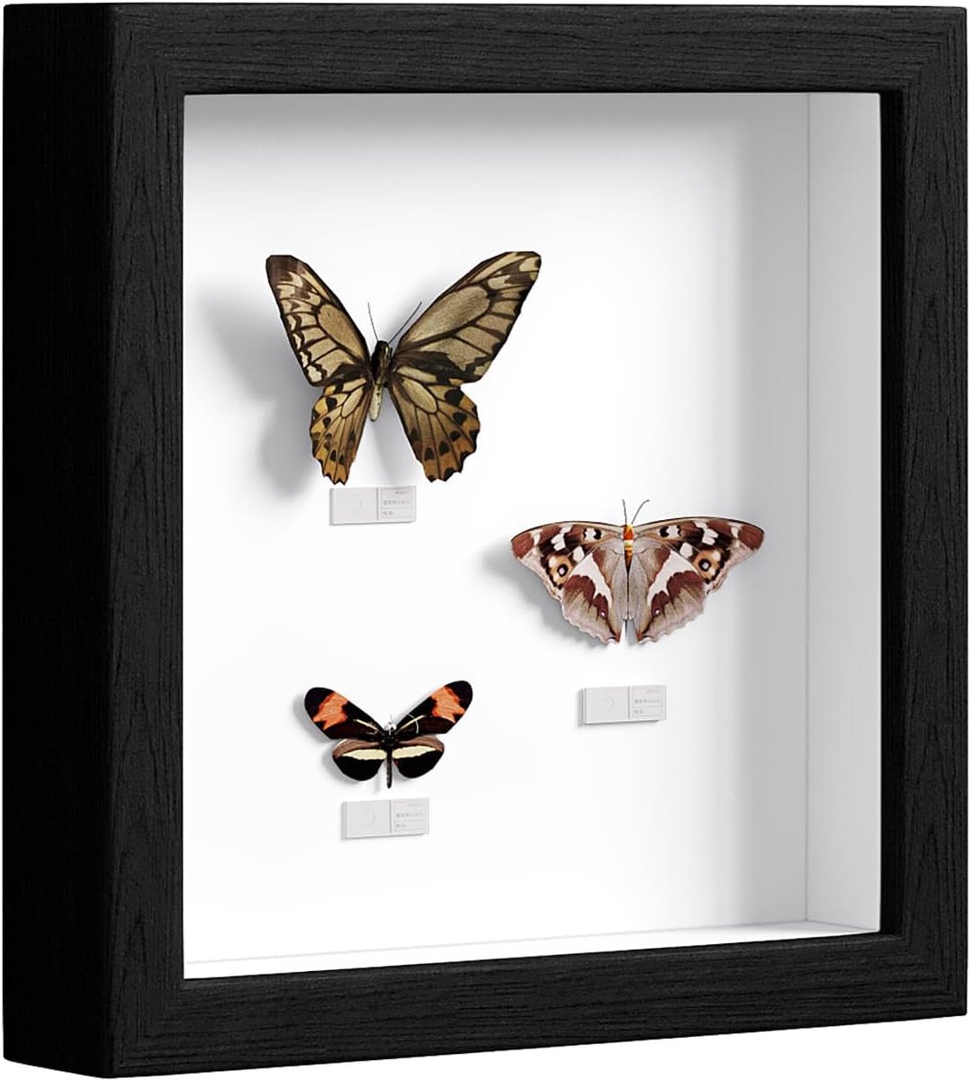 Famanu Zwarte 3D objectlijst 20x20 cm, diepe lijst voor decoraties