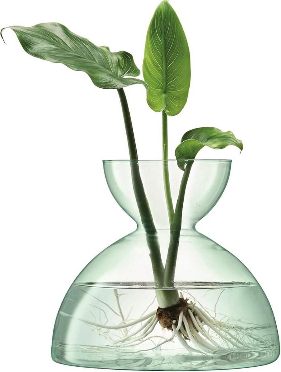 Glazen Vaas 18 cm - Decoratieve Bloemenvaas voor Woonkamer of Eettafel