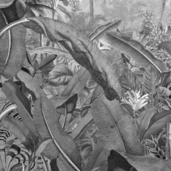 Komar Pure | amazonia black/white | jungle | fotobehang op vlies 400x250cm