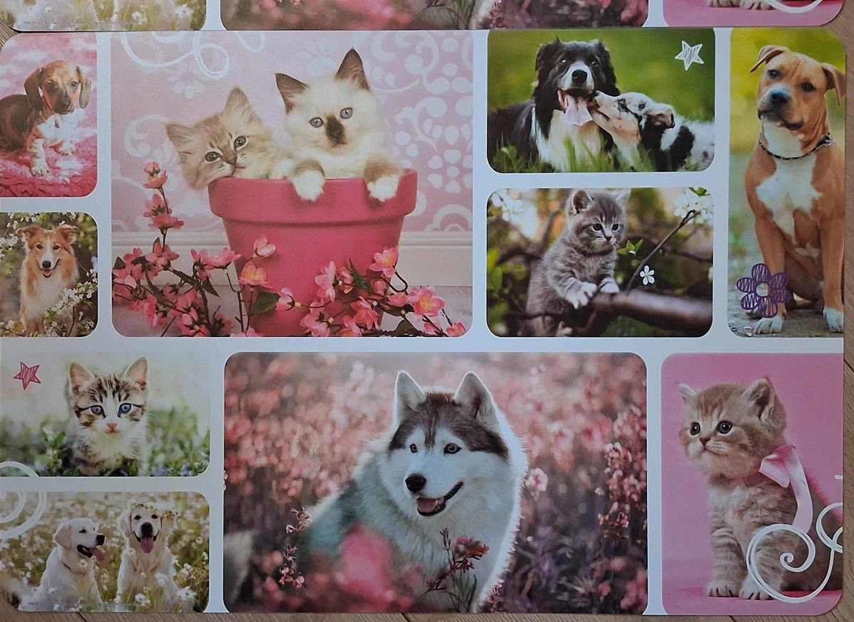 Placemats 2 stuks honden en katten super groot 45x 65 cm. Voor kinderen.