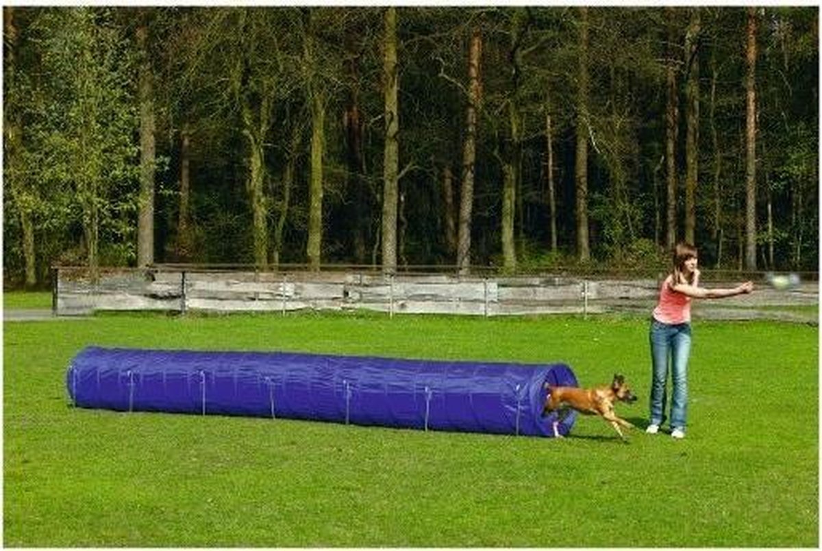 Agility Tunnel Large 525x60x60 cm